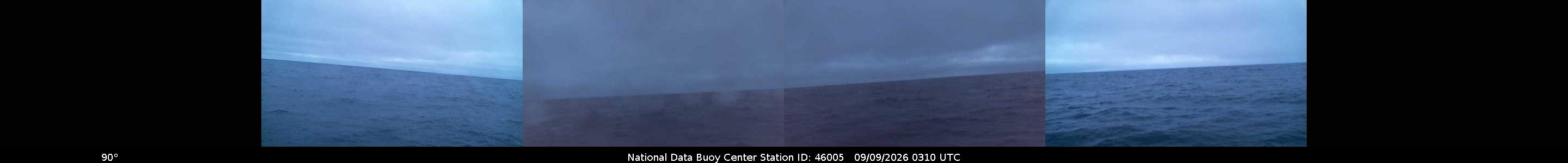 Buoy camera 46005