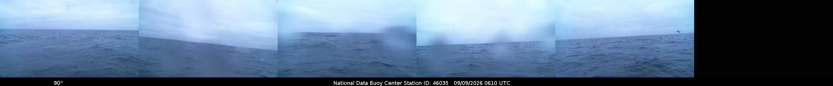 Buoy camera 46035