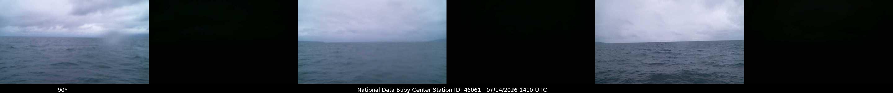 Buoy camera 46061