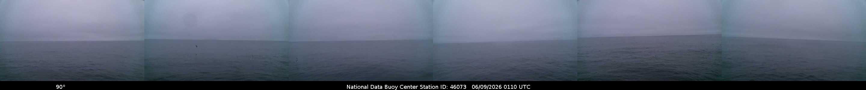 Historical buoy camera image for 46073 captured 2026-06-09 01:10:00 UTC