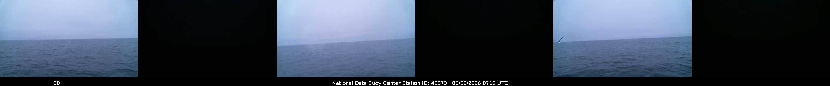 Historical buoy camera image for 46073 captured 2026-06-09 07:10:00 UTC